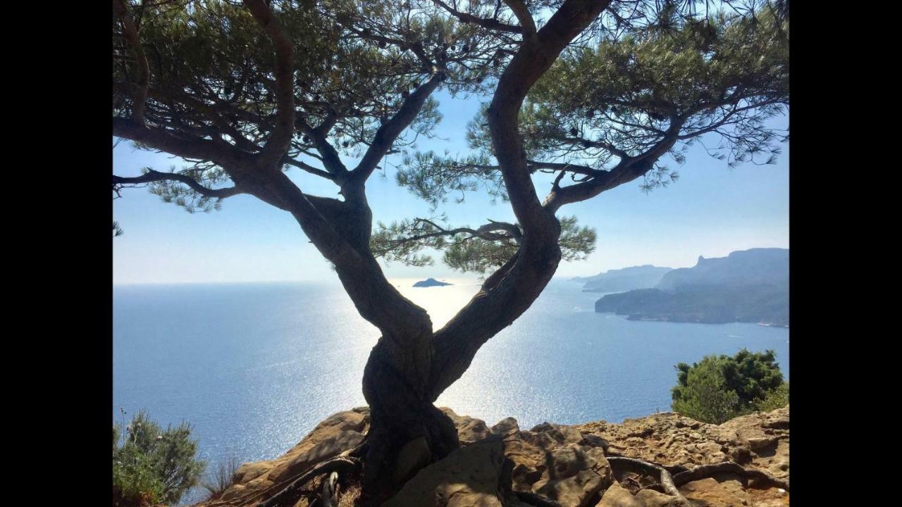 Appart Port Cassis Village Parking Eksteriør bilde